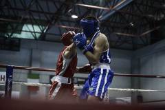 MAX_BOXE_PADOVARING_fatjon_SV1_6810