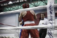 MAX_BOXE_PADOVARING_pavan_tigei_SV1_6735